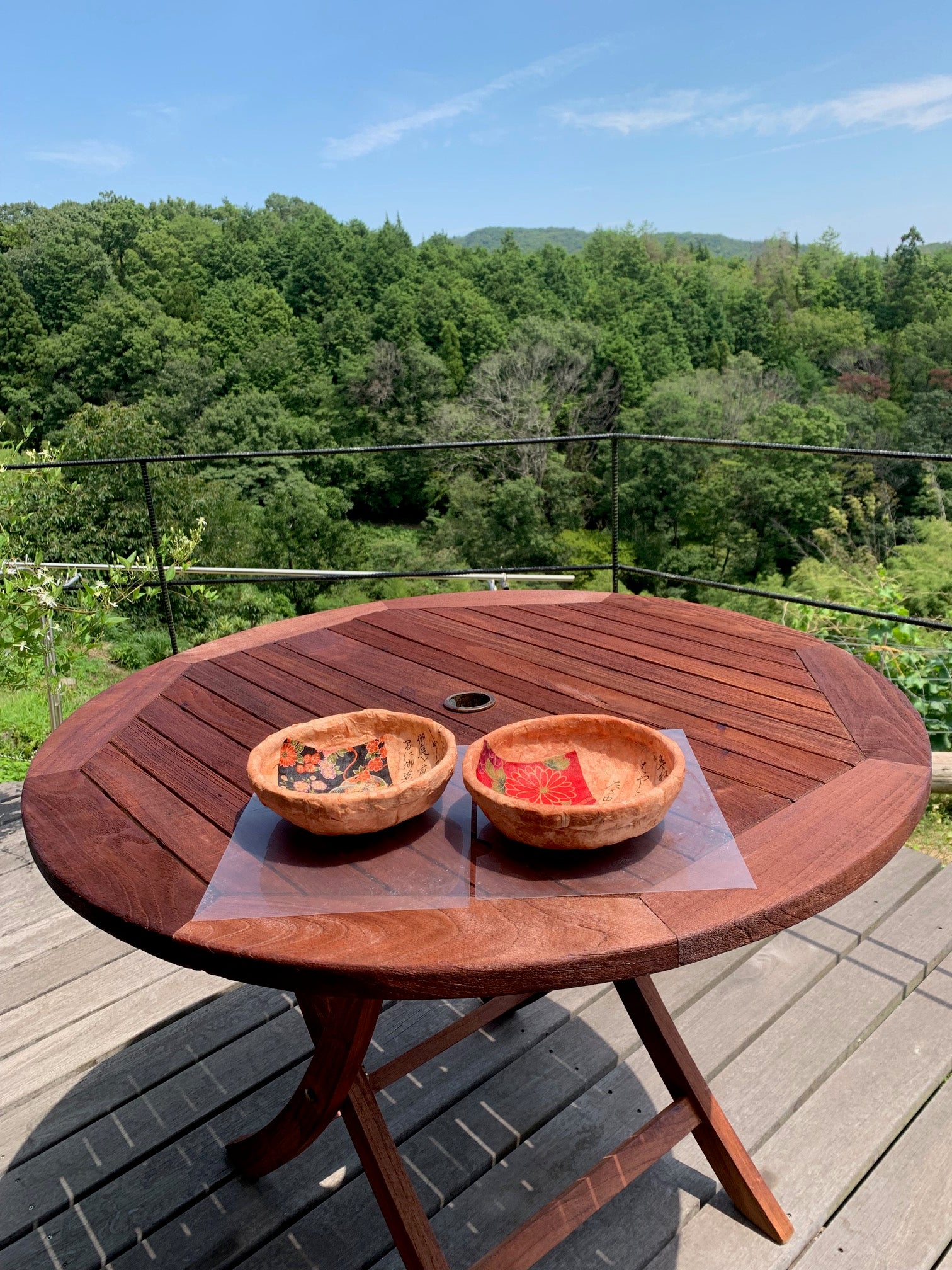 IMG_8774.jpg?v=1726899481