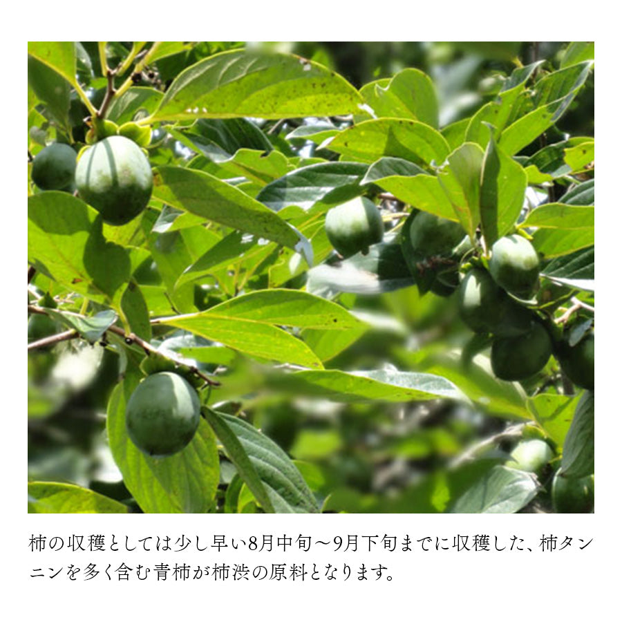 柿渋 500ミリリットル – 尾道柿園