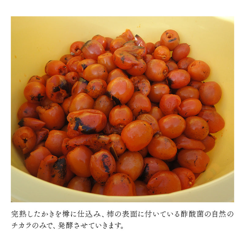 柿酢（かきす）西条柿と上丸柿100％ 500ml×2本セット（ギフトボックス付）