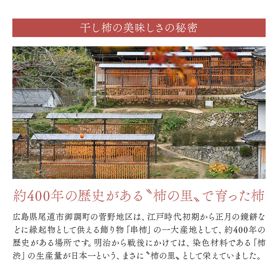 広島県 尾道産 柿の王様・西条柿の干し柿（つるし柿）20個・ギフト