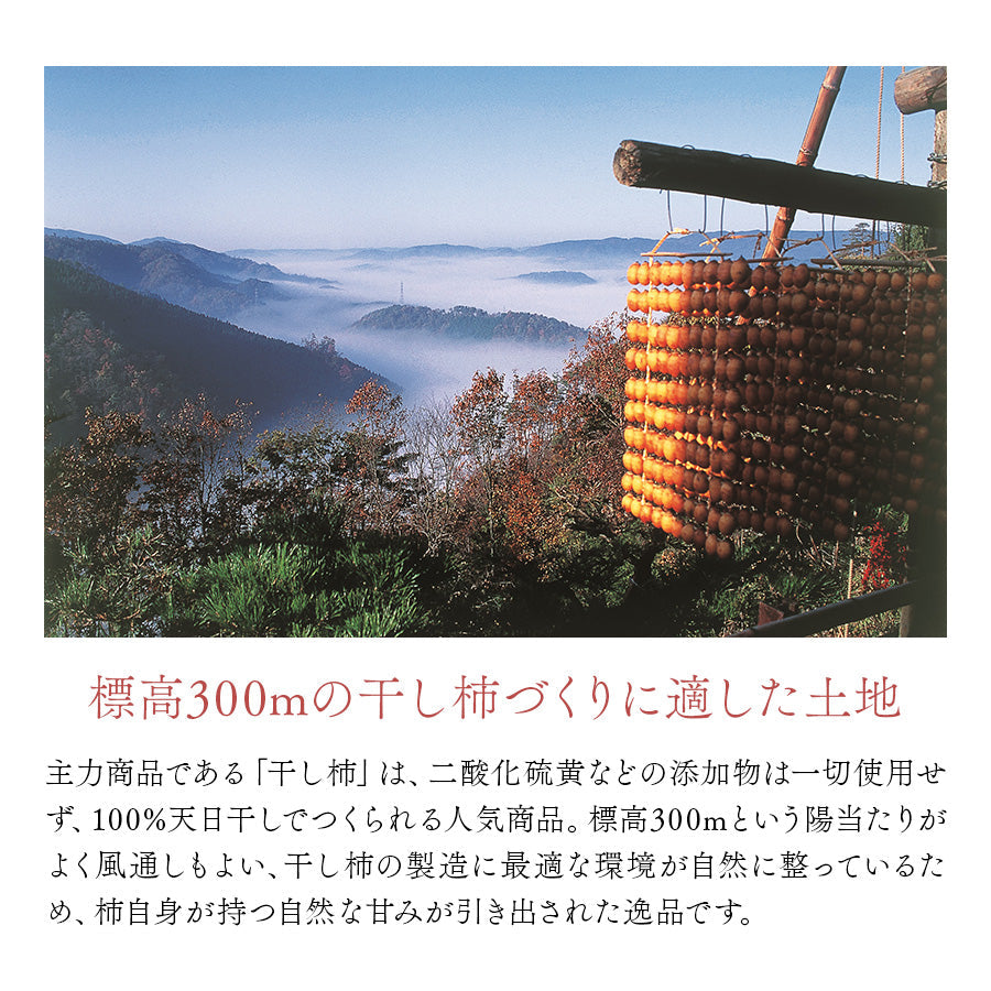 広島県 尾道産 柿の王様・西条柿の干し柿（つるし柿）特上サイズ20個